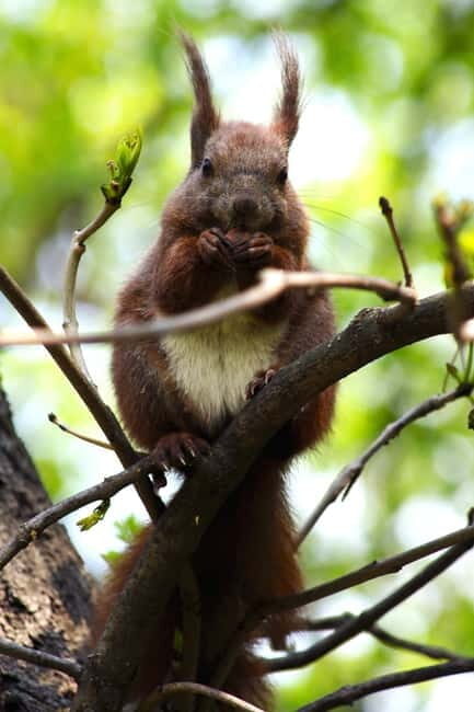 Warsaw: Exclusive city tour with photo session - FAQ