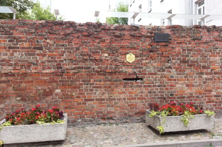 Warsaw: Jewish Heritage Private Walking Tour - Activity Details