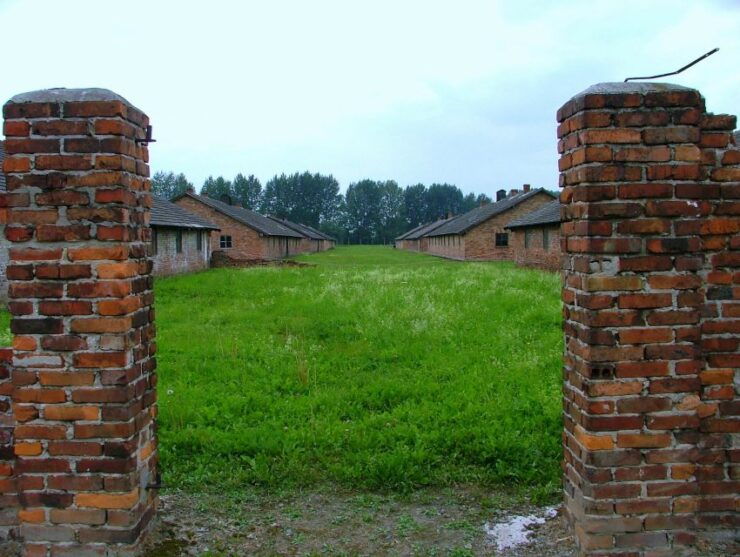 Warsaw: Kraków and Auschwitz-Birkenau Full-Day Trip - Experience Highlights