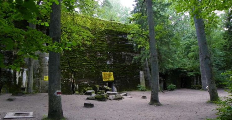 Warsaw: Private Full-Day Excursion to Wolfs Lair - Experience Highlights