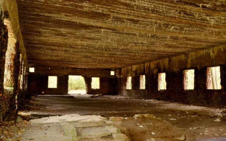 Warsaw: Private Full-Day Wolf's Lair Tour - Tour Details