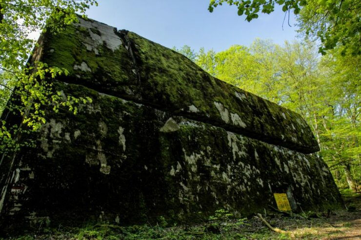 Warsaw: Private Full-Day Wolf's Lair Tour - Experience Highlights