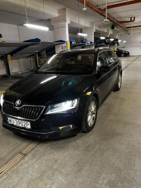 Warsaw: Private Transfer Chopin Airport -City 1-6 Person - Reliability and Punctuality