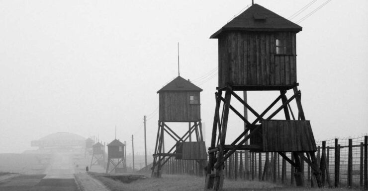Warsaw to Majdanek Concentration Camp One-Day Trip by Car - Activity Details