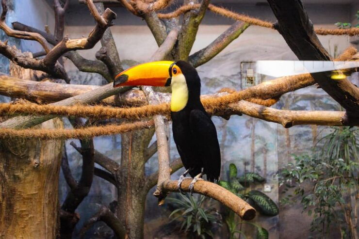 Warsaw Zoo Park With Private Transport - Logistics and Accessibility