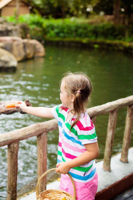 Warsaw Zoo Park With Private Transport - Animals and Exhibits