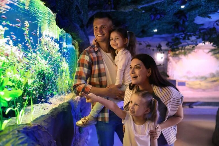 Warsaw Zoo Skip-the-Line Entry Ticket with Private Transport - FAQ