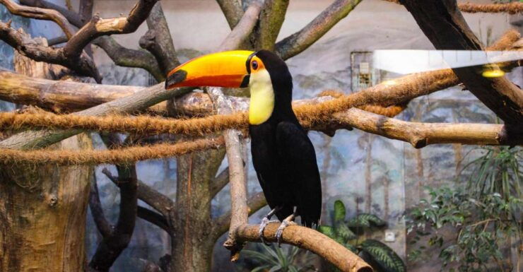 Warsaw_ Zoo Park With Private Transport - Location and Facilities Overview