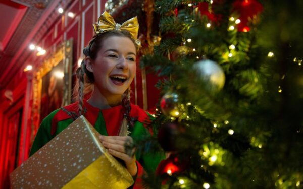 Warwick: Castle Christmas, Skating, and Light Trail Options - The Sum Up