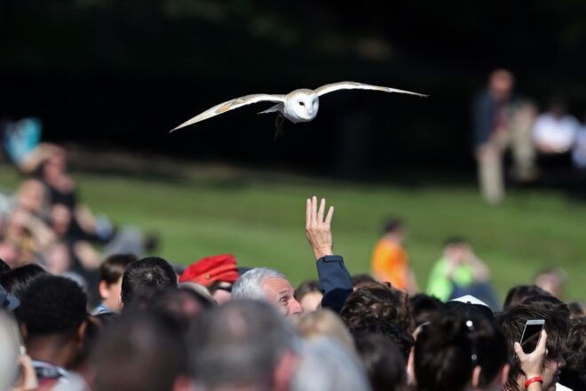 Warwick, Oxford and Stratford Full-Day Tour From London - Similar Day Trip Options