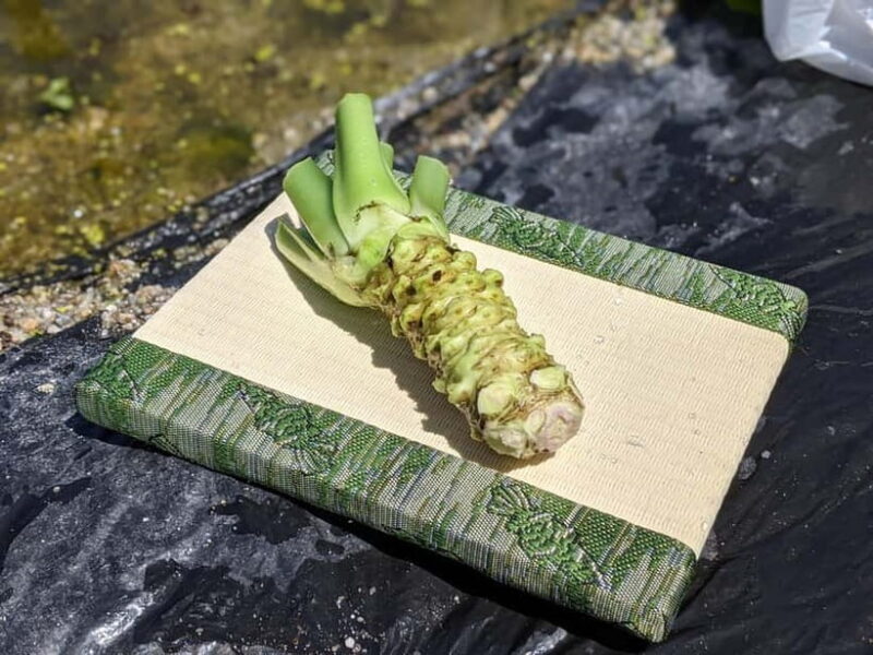 Wasabi Farm Walking Tour with Lunch - Practical Details and Logistics