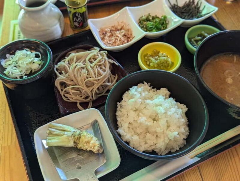 Wasabi Farm Walking Tour with Lunch - A Closer Look at the Experience