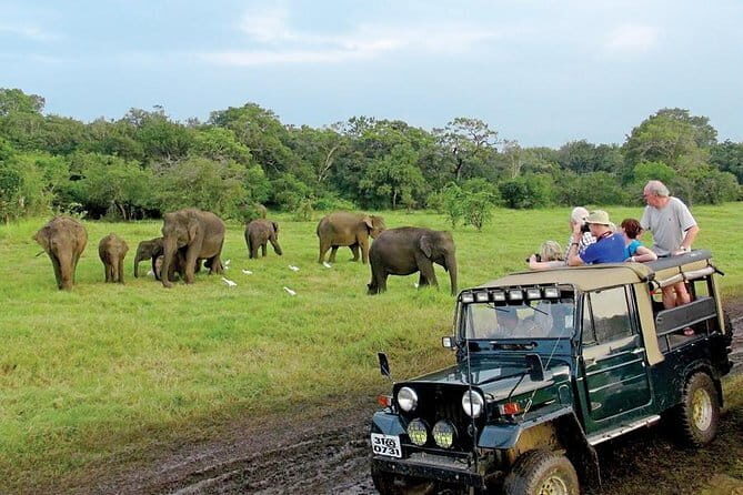 Wasgamuwa National Park Entrance Ticket with Private Safari - Practical Details and Booking Insights