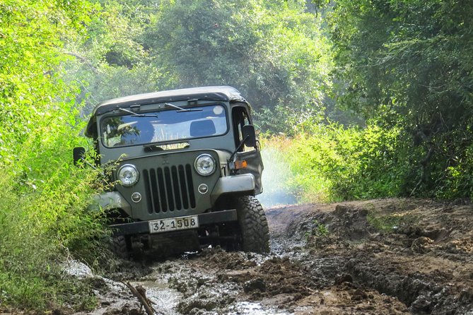 Wasgamuwa National Park Safari From Dambulla - Pricing Information