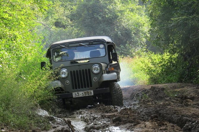 Wasgamuwa National Park Safari from Kandy - Transportation & Comfort