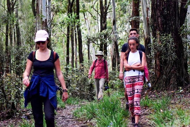 Wasgamuwa National Park Safari from Kandy - The Sum Up: Who Will Love This Safari?