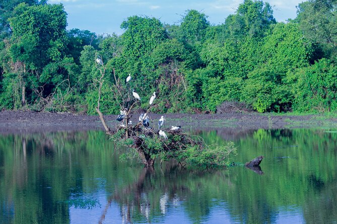 Wasgamuwa National Park Safari Jeep With Tickets - Common Questions