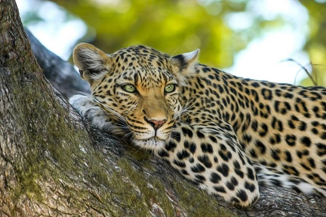Wasgamuwa National Park Shared Safari - Meeting and Pickup Information