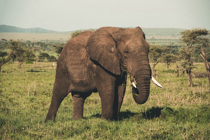Wasgamuwa National Park Shared Safari - Upgrade Options and Additional Information
