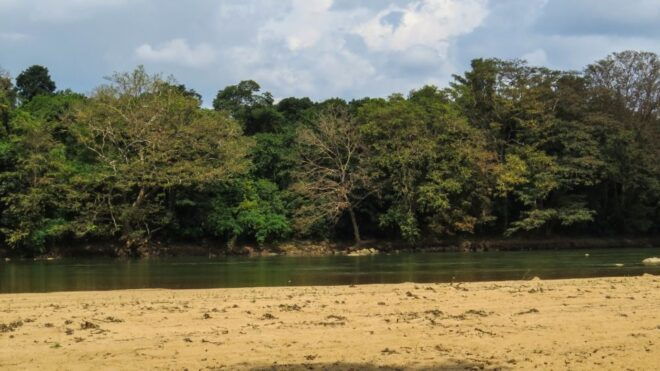 Wasgamuwa: Wasgamuwa National Park Private 3-Hour Safari - Ideal Time to Visit