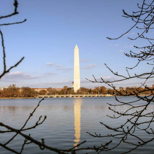 Washington: Cherry Blossom Tour - Experience Highlights