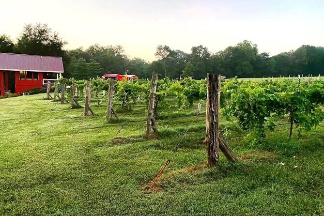 Washington County Wednesday Winehop and Bingo Cruise - Who Should Consider This Tour?