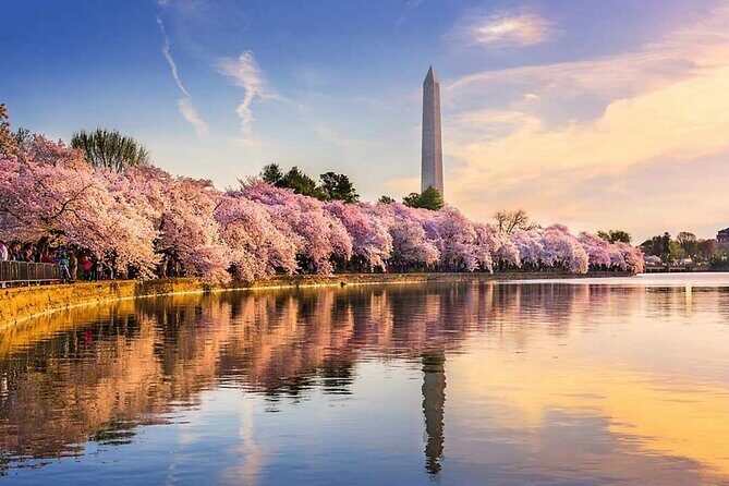 Washington D.C. Cherry Blossom,Baltimore 3-Day Tour from Boston - Good To Know