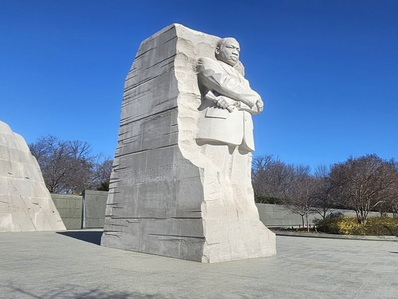 Washington D.C. One-Day Guided City Tour - Who should consider this tour?