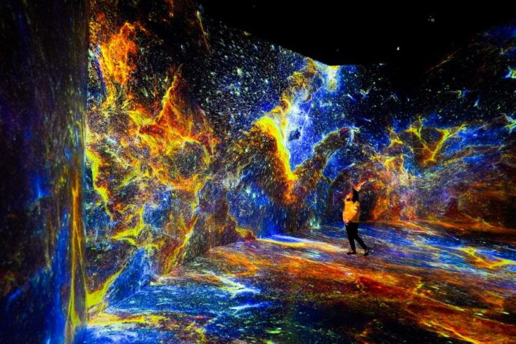 Washington, DC: ARTECHOUSE Immersive Art Experience Ticket - Experience Highlights