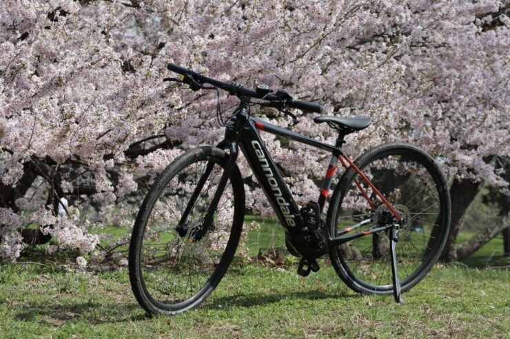 Washington DC: Cherry Blossom Festival Tour by Bike - Booking and Payment Details