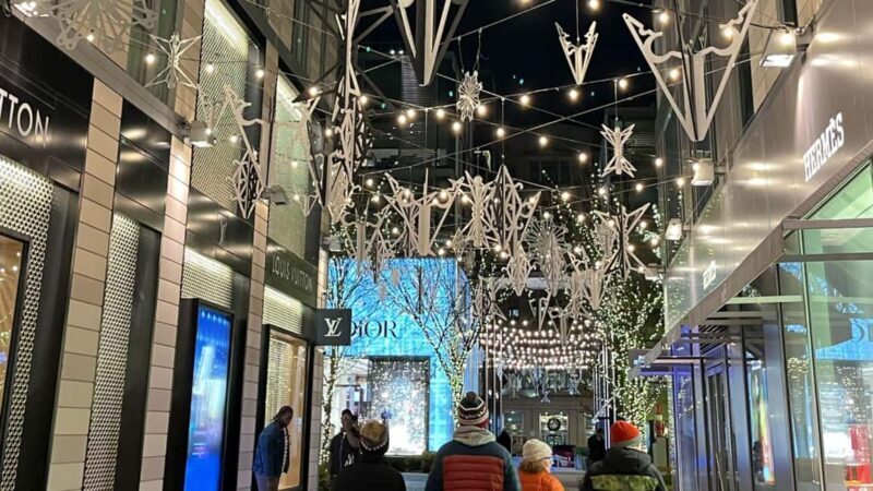 Washington, DC: Christmas Tree & Holiday Lights Bus Tour - Good To Know