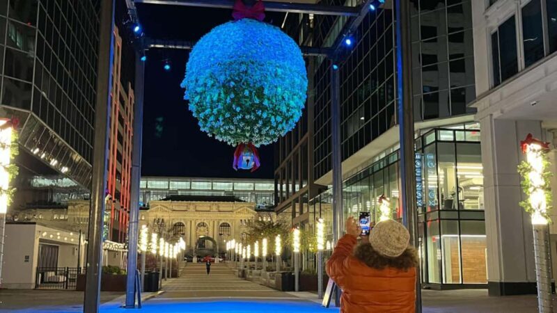 Washington, DC: Christmas Tree & Holiday Lights Bus Tour - What You Get for $60