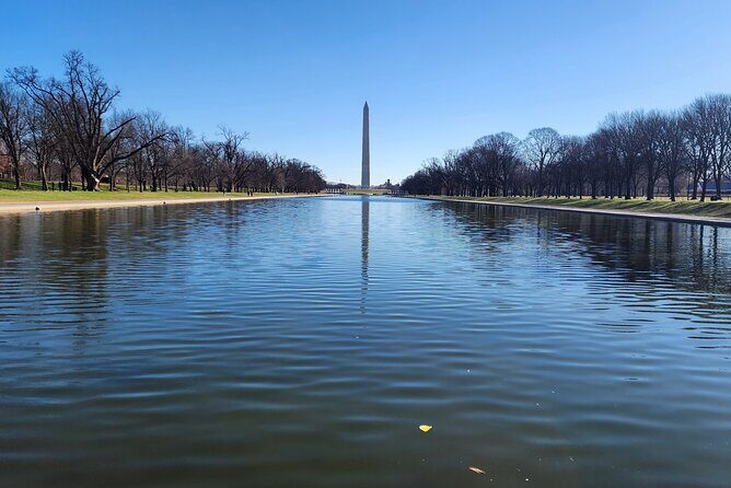 Washington DC Day Trip from Manhattan or New Jersey - Who Would Love This Tour?