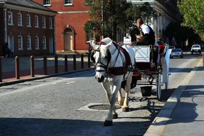 Washington DC: Day Trip to Philadelphia by Rail - Directions