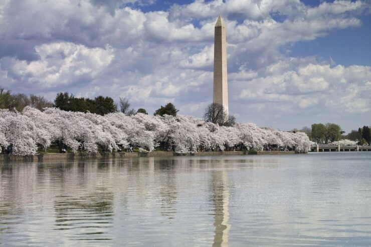 Washington DC: Half-Day Bus Tour With Optional Museum Ticket - Good To Know