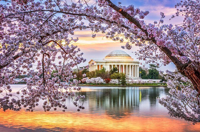 Washington DC Highlights: Private Half-Day Tour - FAQs