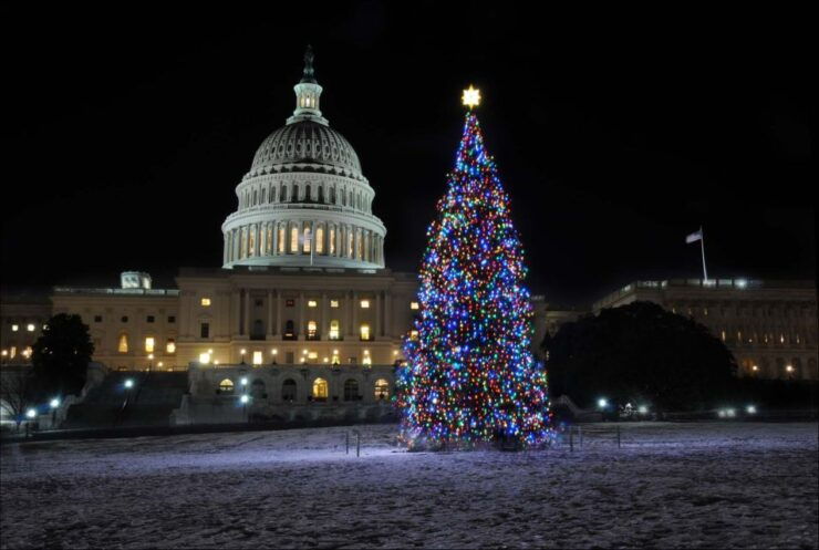 Washington, DC: Holiday Lights Nighttime Bus Tour - Festive Highlights and Displays