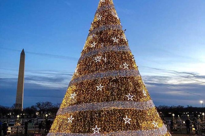 Washington DC Holiday Lights Tour - Customer Experience and Feedback