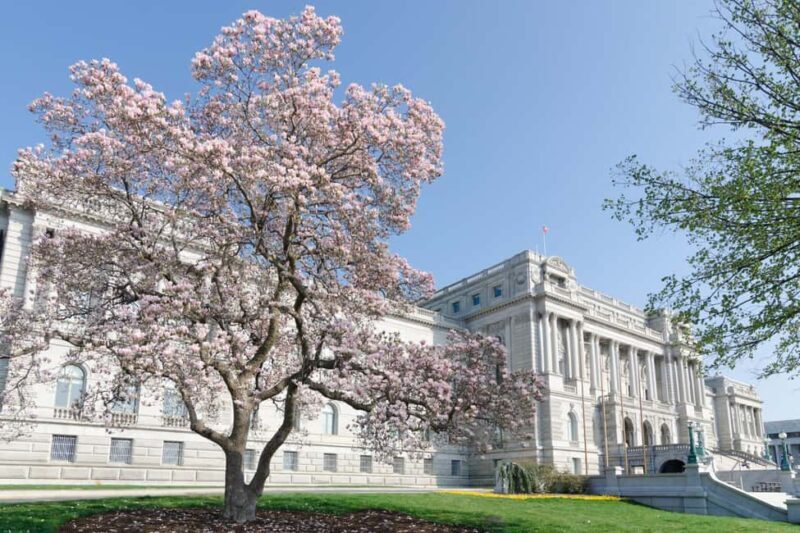 Washington DC: Library of Congress Private Tour with Tickets - Practical Tips for Visitors  