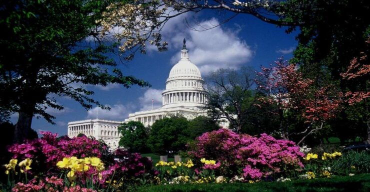 Washington, DC: Monuments and Memorials Photography Lesson - Photography Equipment Provided