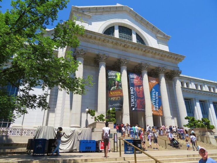 Washington DC: Museum of Natural History Private Guided Tour - Tour Experience