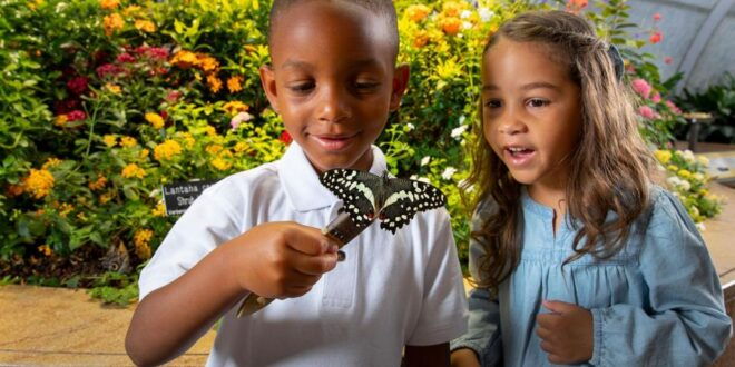 Washington DC: Museum of Natural History Private Guided Tour - Additional Recommendations