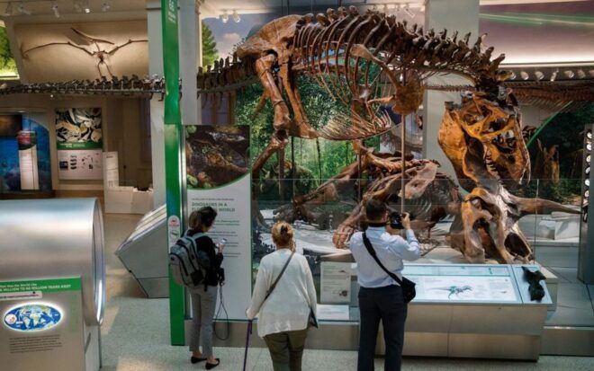 Washington DC: Museum of Natural History Private Guided Tour - Customer Reviews