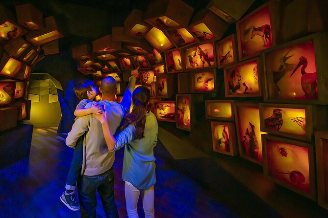 Washington DC: Museum of the Bible Entrance With Digital Guide - Pre-Book Tickets and Digital Guide