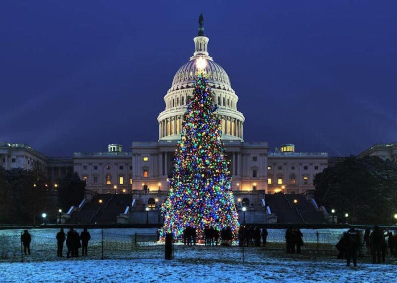 Washington, DC: National Mall and Memorials Moonlight Tour - Who Would Love This Tour?
