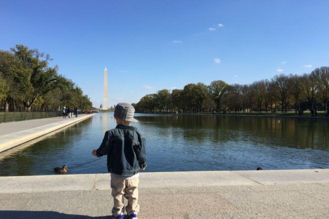 Washington, DC: Private National Mall Walking Tour - Highlights of the National Mall Tour