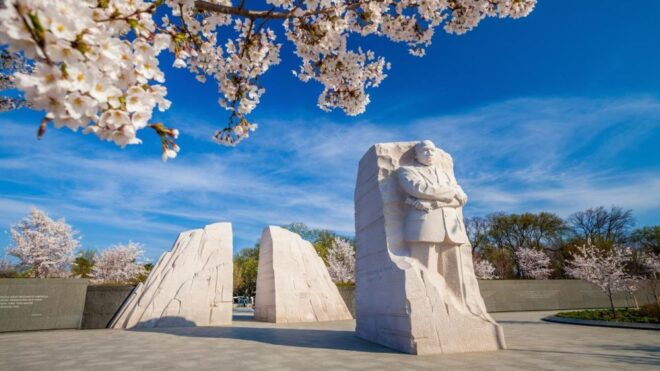 Washington DC: Private Tour With Luxury Vehicle - Vehicle Information