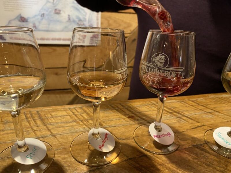 Washington, DC: Virginia Wine Region Experience Tour - Who Will Love This Tour?