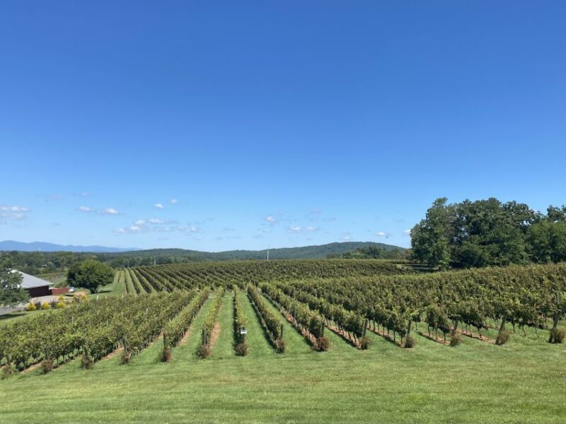 Washington, DC: Virginia Wine Region Experience Tour - Final Thoughts