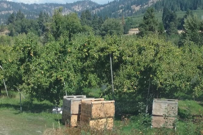 Washington State Orchards and Landscapes Private Tour  - Seattle - Tour Highlights